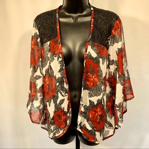 Eye Candy Sheer Floral and Lace Shawl / Coverup - Picture 2 of 8